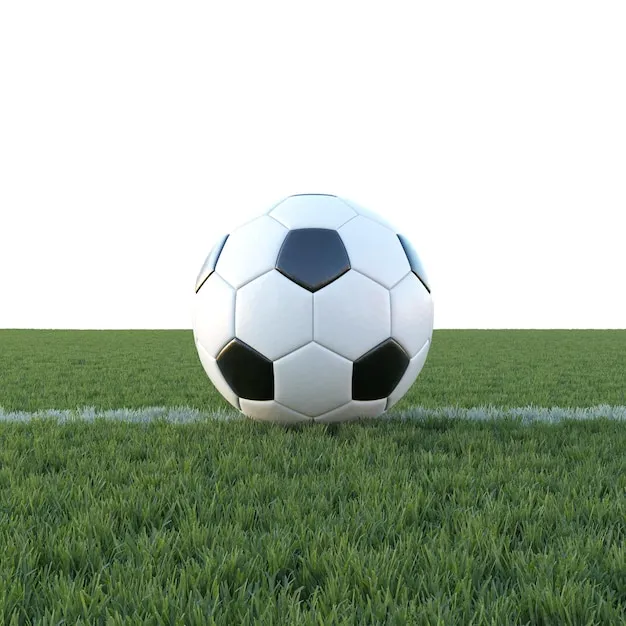 德甲直播体育 体育赛事背景